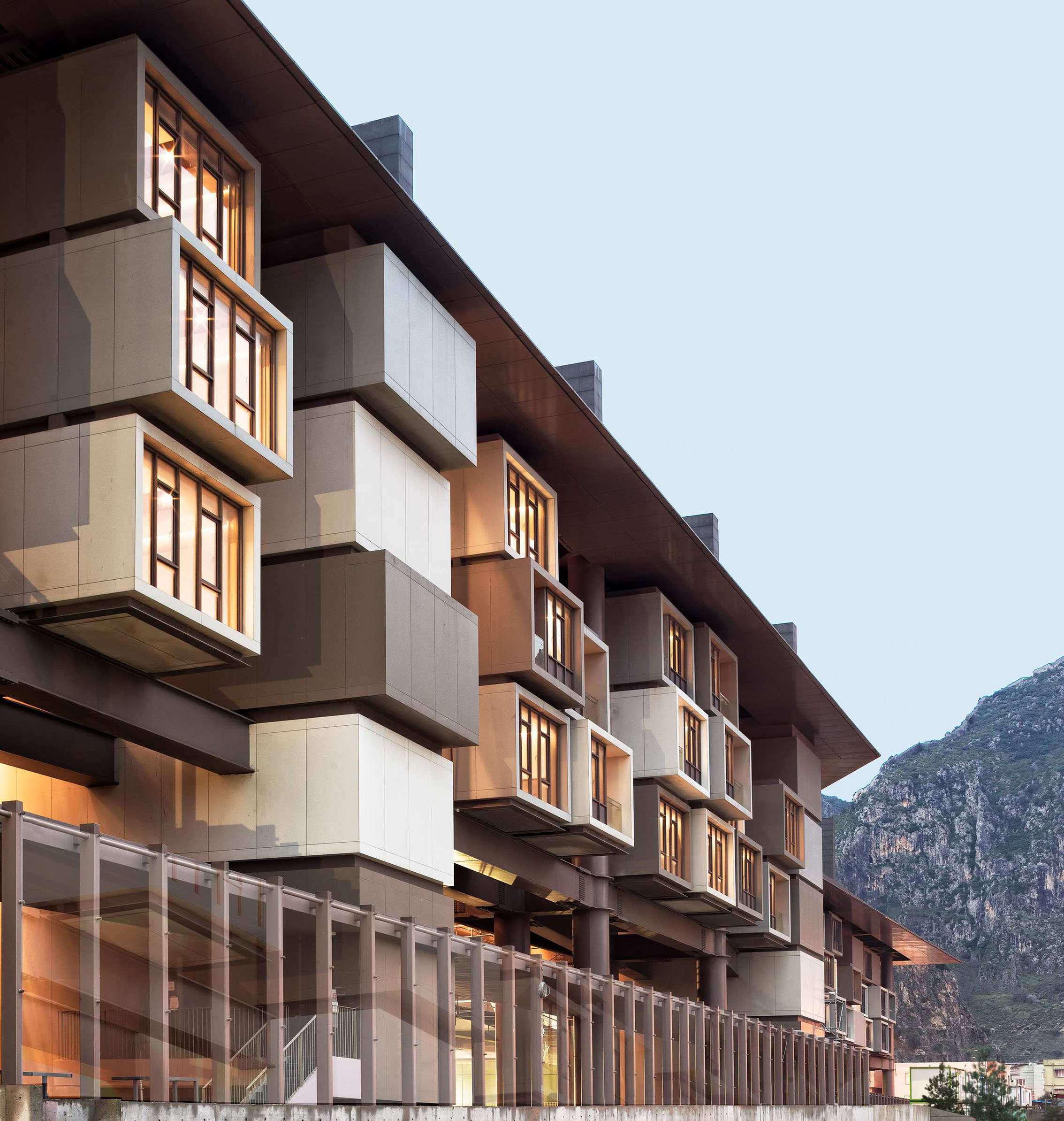 Image credit: Cemal Emden