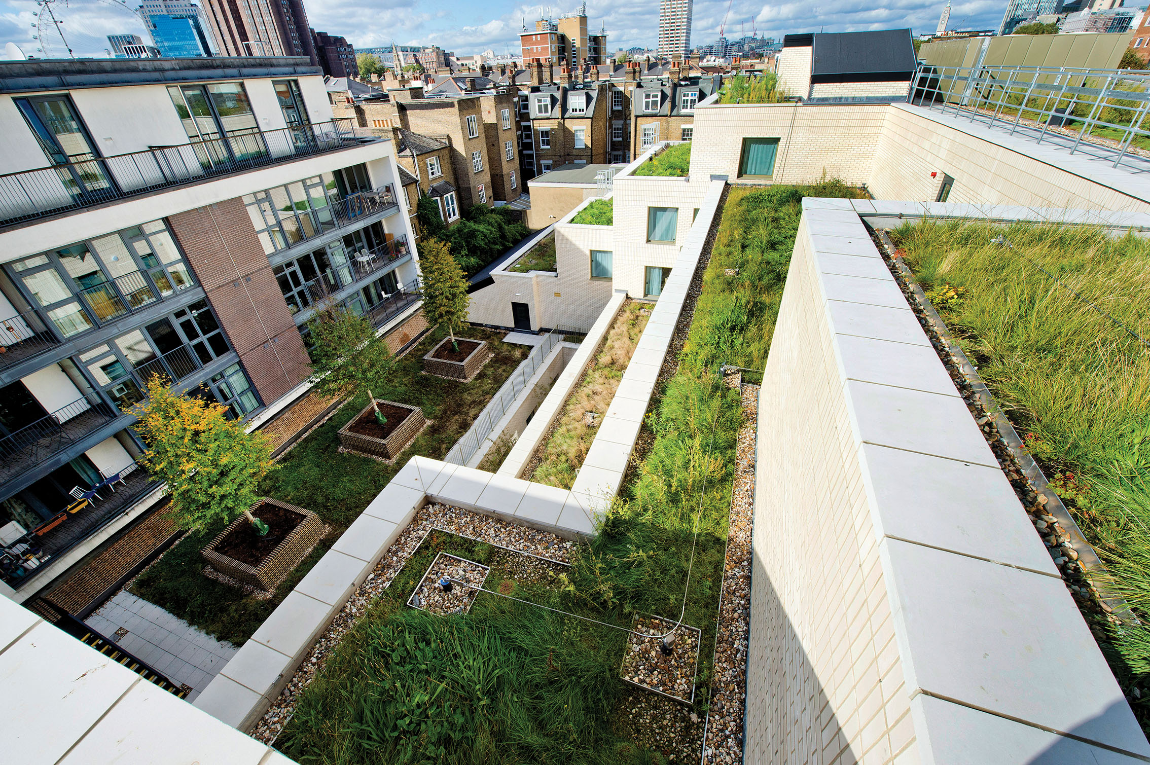 Premier Inn New Marlborough Yard Green Roof. © Studio Moren